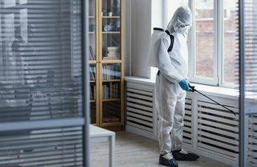 Pest Control